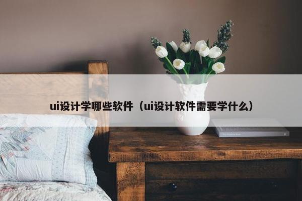 ui设计学哪些软件（ui设计软件需要学什么）