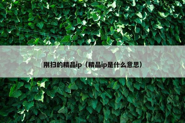 刚扫的精品ip（精品ip是什么意思）