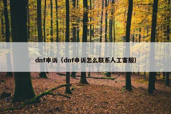 dnf申诉（dnf申诉怎么联系人工客服）