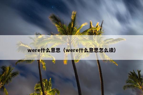 were什么意思（were什么意思怎么读）