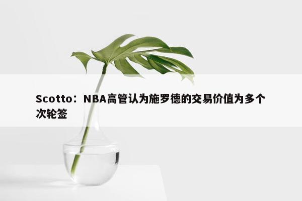 Scotto：NBA高管认为施罗德的交易价值为多个次轮签