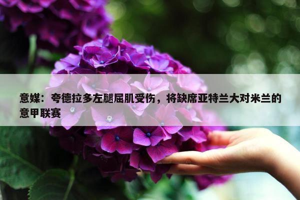 意媒：夸德拉多左腿屈肌受伤，将缺席亚特兰大对米兰的意甲联赛