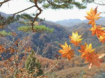 勇士绝杀雷霆全场回放央视