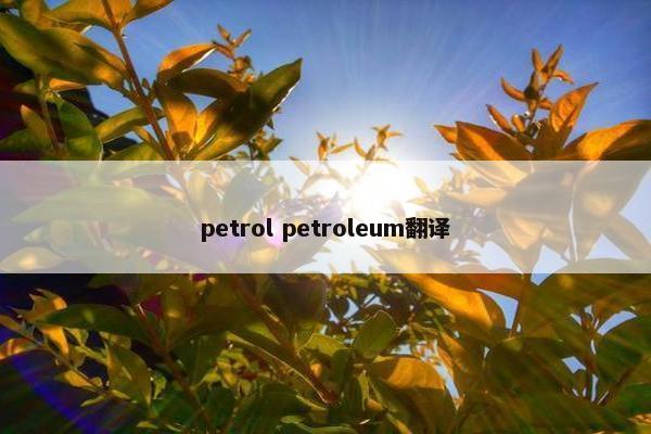 petrol petroleum翻译