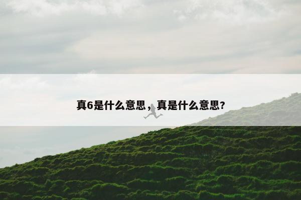 真6是什么意思，真是什么意思?