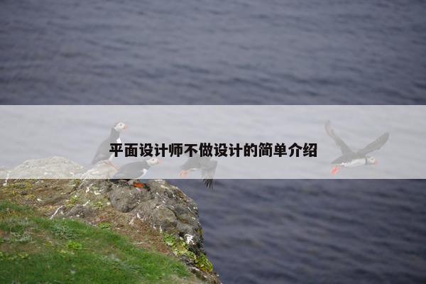 平面设计师不做设计的简单介绍