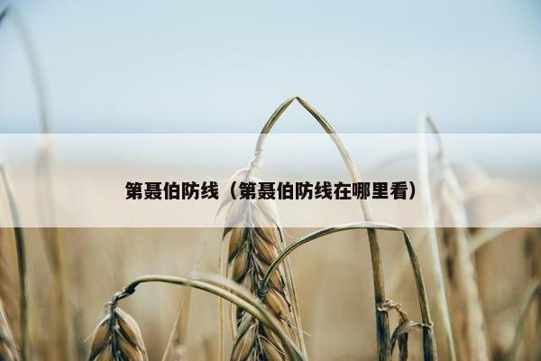 第聂伯防线（第聂伯防线在哪里看）