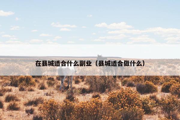 在县城适合什么副业（县城适合做什么）