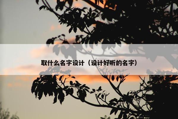 取什么名字设计（设计好听的名字）