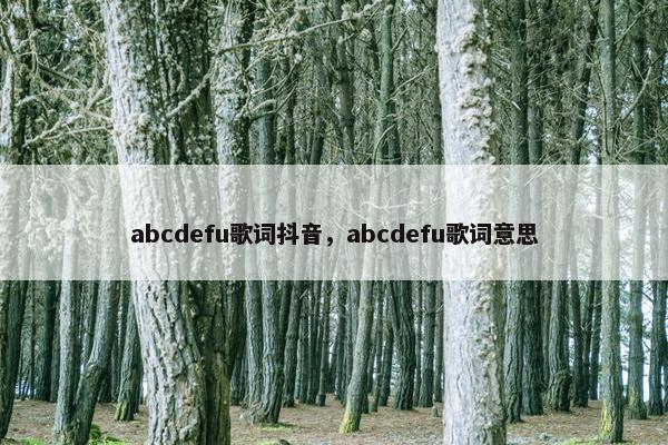 abcdefu歌词抖音，abcdefu歌词意思