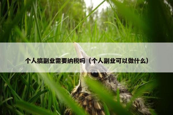 个人搞副业需要纳税吗（个人副业可以做什么）