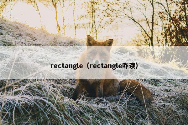 rectangle（rectangle咋读）