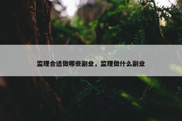 监理合适做哪些副业，监理做什么副业