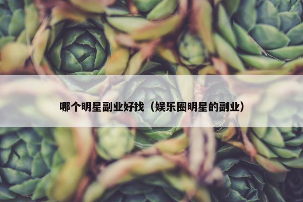 哪个明星副业好找（娱乐圈明星的副业）