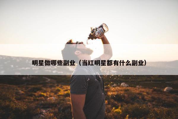 明星做哪些副业（当红明星都有什么副业）