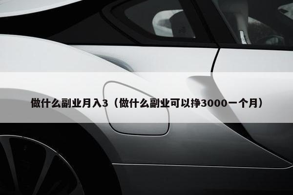 做什么副业月入3（做什么副业可以挣3000一个月）