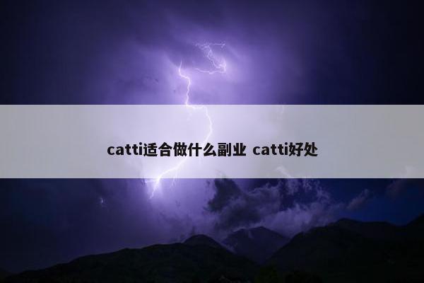 catti适合做什么副业 catti好处