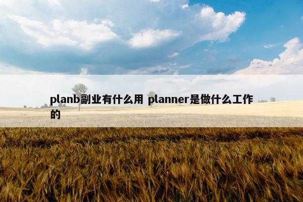 planb副业有什么用 planner是做什么工作的