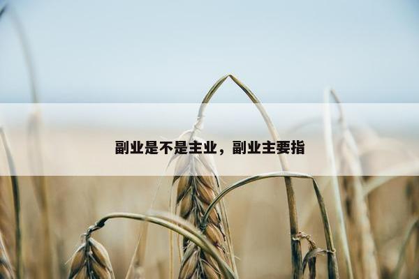 副业是不是主业，副业主要指