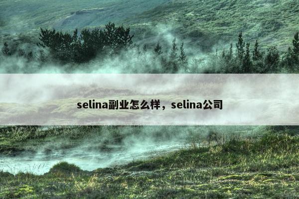 selina副业怎么样，selina公司