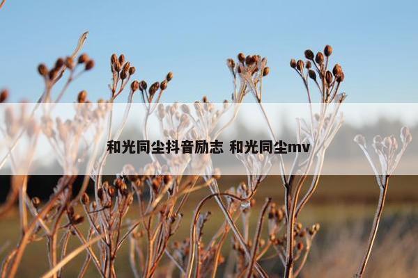 和光同尘抖音励志 和光同尘mv