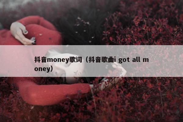 抖音money歌词（抖音歌曲i got all money）