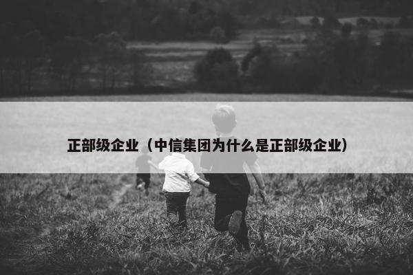 正部级企业（中信集团为什么是正部级企业）