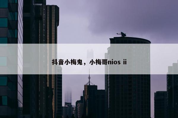 抖音小梅鬼，小梅哥nios ii