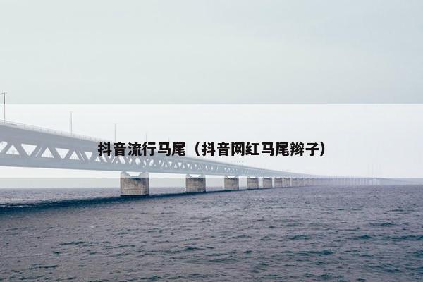 抖音流行马尾（抖音网红马尾辫子）