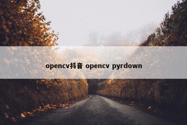 opencv抖音 opencv pyrdown