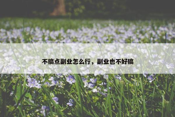 不搞点副业怎么行，副业也不好搞