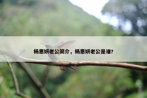 杨惠妍老公简介，杨惠妍老公是谁?