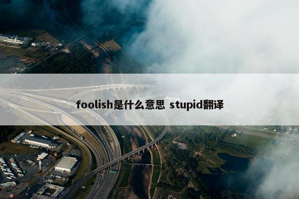 foolish是什么意思 stupid翻译