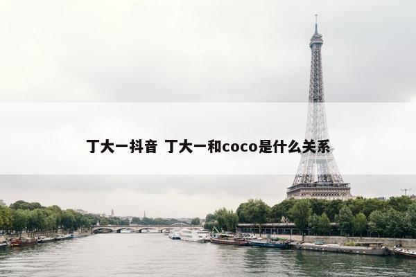 丁大一抖音 丁大一和coco是什么关系