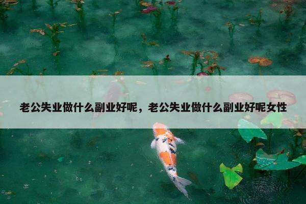 老公失业做什么副业好呢，老公失业做什么副业好呢女性