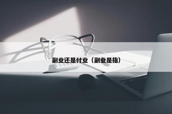 副业还是付业（副业是指）