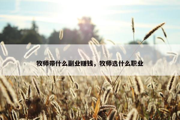 牧师带什么副业赚钱，牧师选什么职业