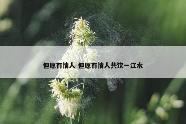 但愿有情人 但愿有情人共饮一江水