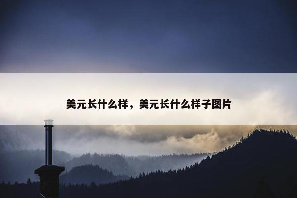 美元长什么样，美元长什么样子图片