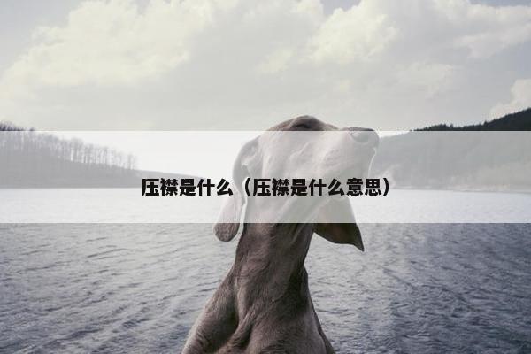 压襟是什么（压襟是什么意思）