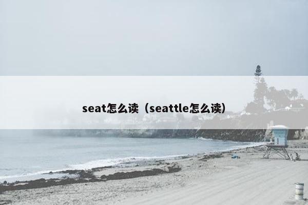 seat怎么读（seattle怎么读）