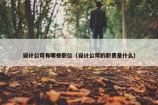 设计公司有哪些职位（设计公司的职责是什么）