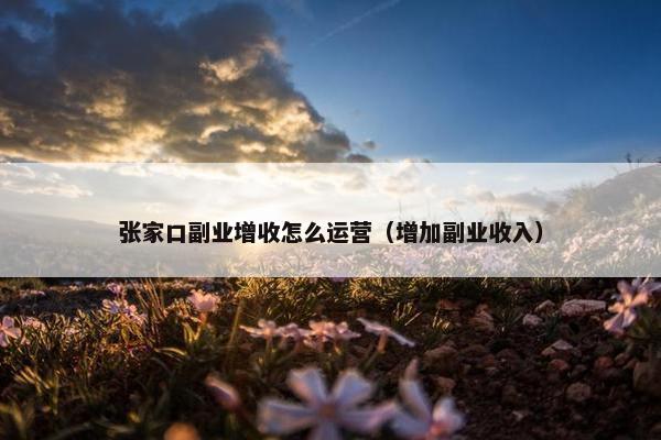 张家口副业增收怎么运营（增加副业收入）