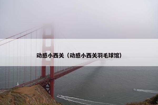 动感小西关（动感小西关羽毛球馆）