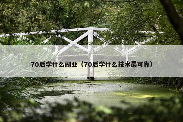 70后学什么副业（70后学什么技术最可靠）