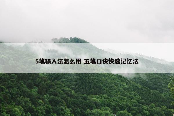 5笔输入法怎么用 五笔口诀快速记忆法