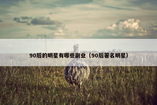 90后的明星有哪些副业（90后著名明星）