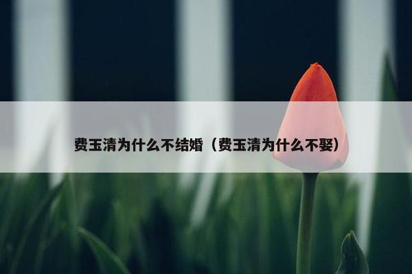 费玉清为什么不结婚（费玉清为什么不娶）