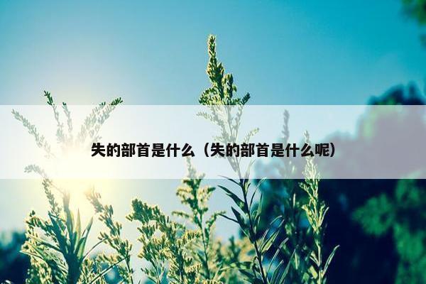 失的部首是什么（失的部首是什么呢）