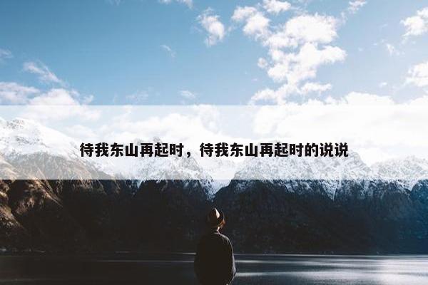 待我东山再起时，待我东山再起时的说说